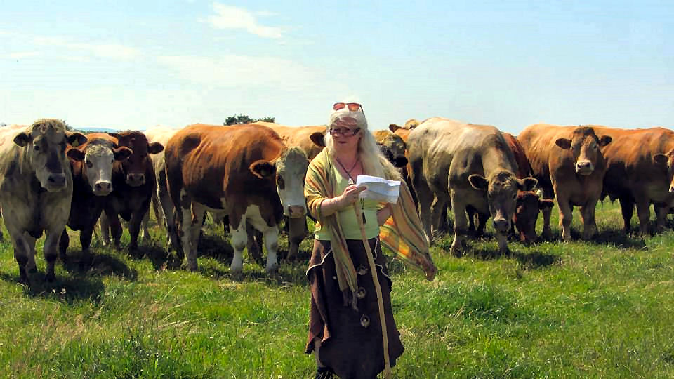 Eimear Burke telling a story.  With added cows.